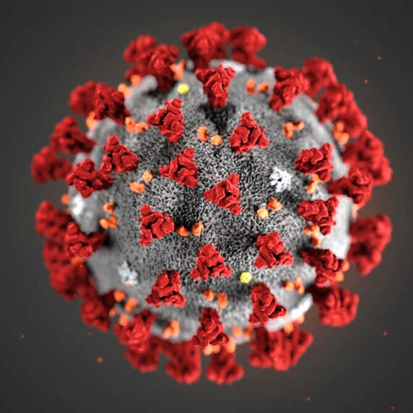 Coronavirus