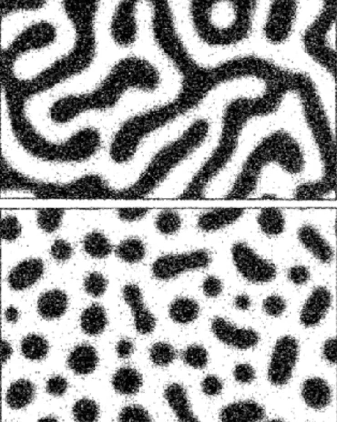Phase Separation